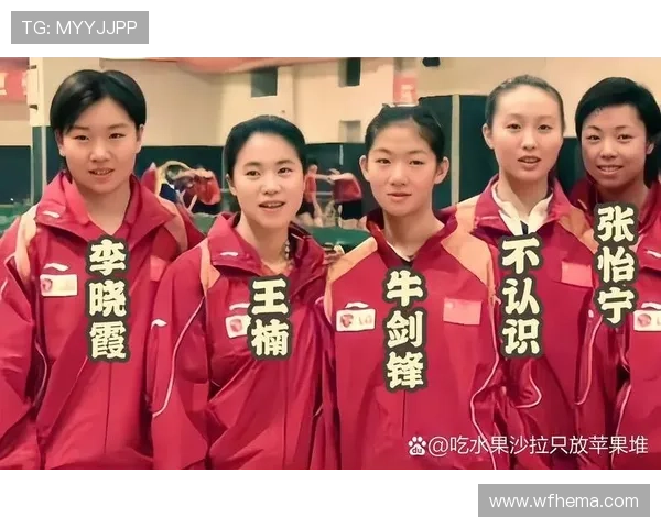 乒乓球传奇：深入探索杭州乒乓球队的训练与荣耀之路